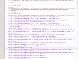 meta tag ptr optimizare SEO