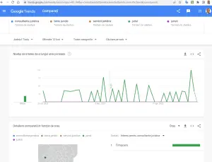 Google trends Timisoara