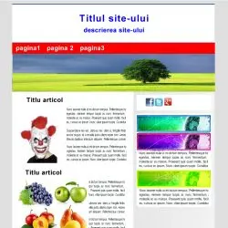 prima pagina, proiect de webdesign timisoara cu 300 de euro
