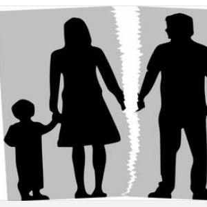 Web design si SEO pentru un site de informaţii juridice