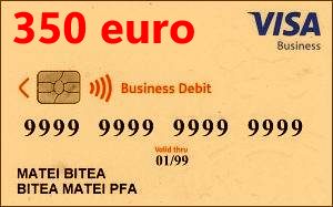 card bronz optimizare SEO de bază 350 euro