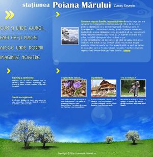site realizat in wordpress Valeriu Tabara