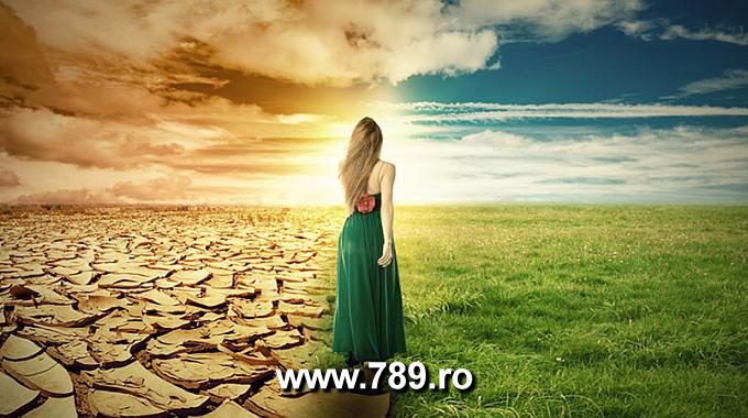 despre succes si insucces