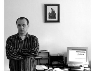 freelancer Optimizare SEO