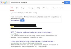 cautare-optimizare-seo-timisoara