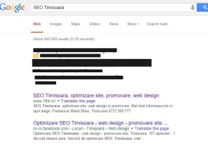 cautare seo timisoara