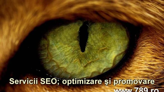 Servicii de promovare a unui site. SEO si copywriting promovarea unui site si SEO