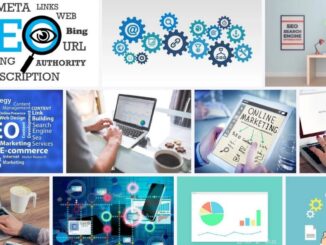 optimizare SEO Timisoara