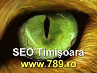 SEO Timisoara