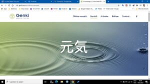 optimizare continut site pentru desktop