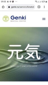 optimizare pentru continut site