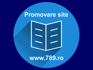 promovare site Timisoara