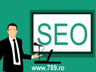 curs de SEO pentru incepatori