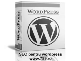 site in wordpress SEO