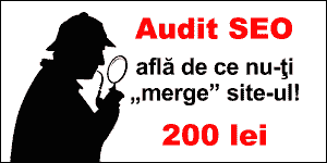 audit SEO