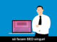 SEO Timisoara keyword