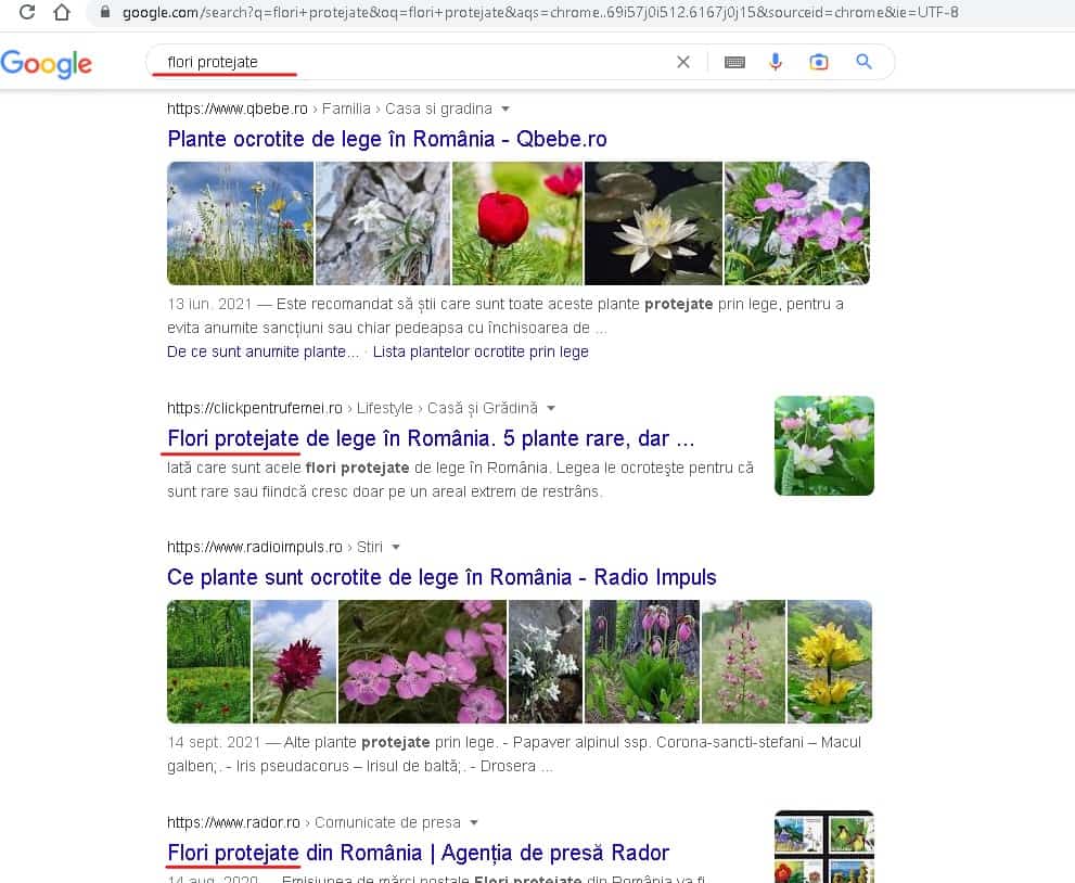 Algoritmul RankBrain ne arată de fapt rezultate reale, ele ne arată sensul real alcăutării noastre... SERP si rezultate algoritm RankBrain