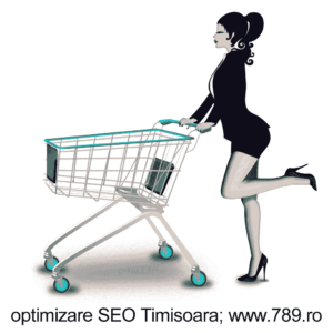 optimizare SEO in Timisoara