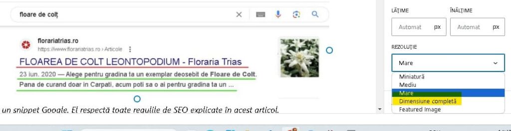 Setarea dimensiunii unei imagini cand o plasăm în wordpress redimensionarea imaginii în wordpress