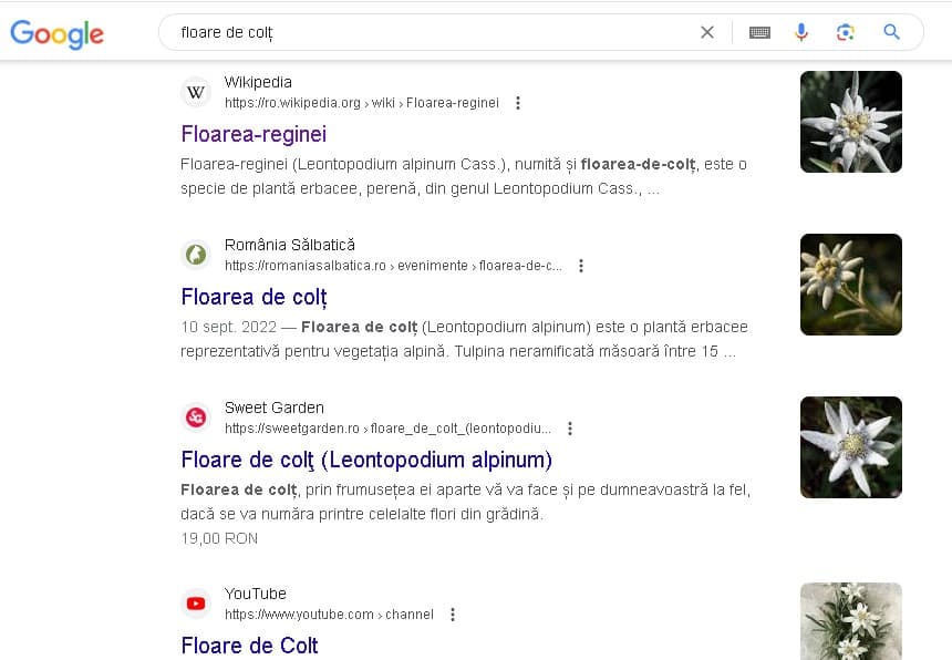 Snippet-ul, felul in care arată și poziția lui pe Google spune foarte multe despre SEO, despre cât de bine este promovat site-ul Snippet-uri pe Google