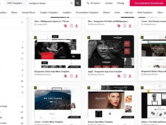 magazin cu template-uri de website, plugin de SEO, fotografii, scripturi
