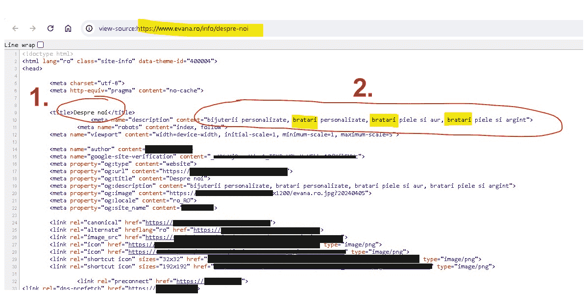 SEO practic; metatag si titlu